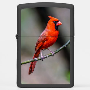 Cardinal Zippo Lighter