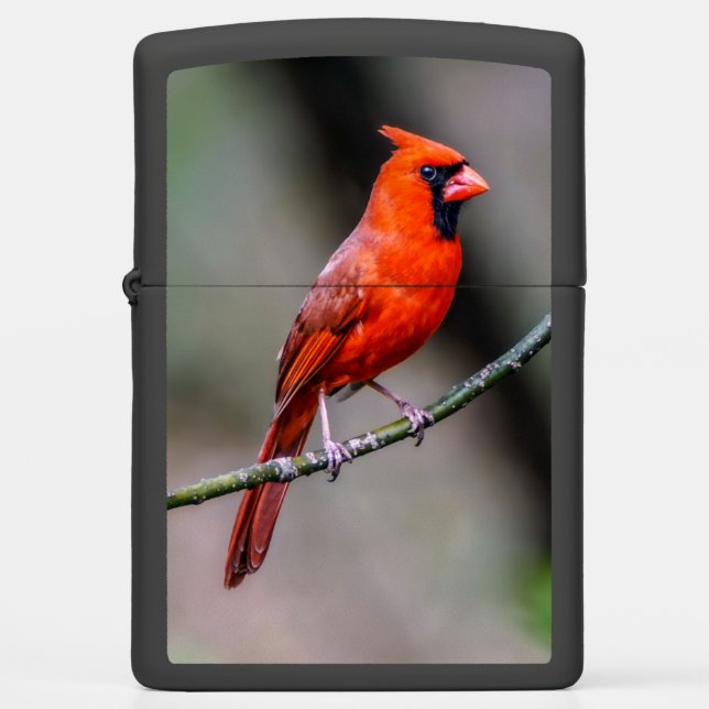 Cardinal Zippo Lighter (Front)