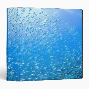 Cardinalfishes swimming underwater 3 ring binder