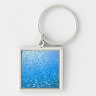 Cardinalfishes swimming underwater keychain