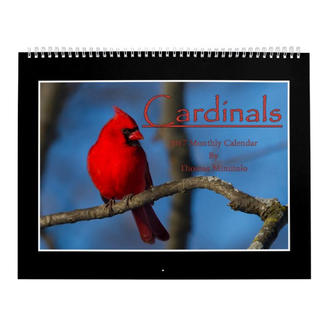 Cardinals 2017 Monthly Calendar By Thomas Minutolo (Cover)