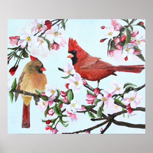 Cardinals and Apple Blossoms Poster (Front)