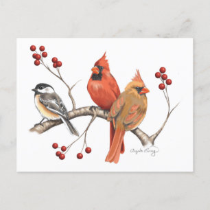 Cardinals and Chickadee with Red Berries Holiday Postcard