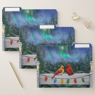 Cardinals and Christmas Lights Winter Snow File Folder