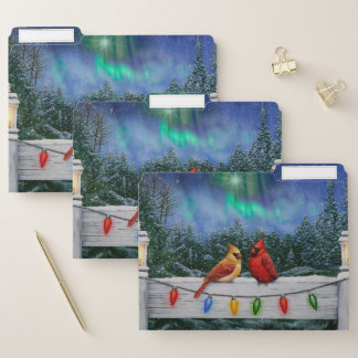 Cardinals and Christmas Lights Winter Snow File Folder