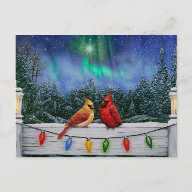 Cardinals and Christmas Lights Winter Snow Postcard (Front)