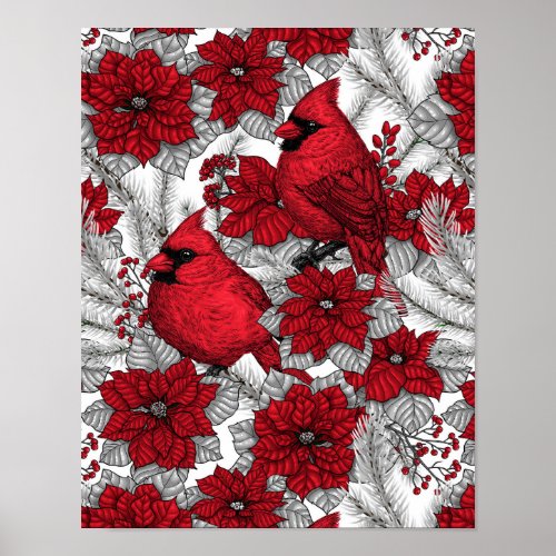 Cardinals and poinsettia in red and white poster
