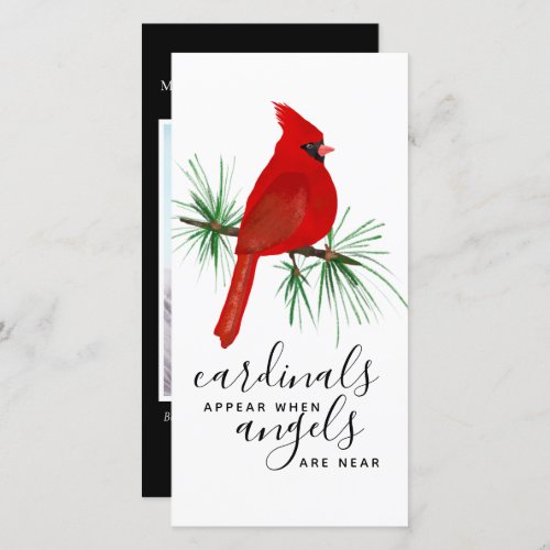 Cardinals Appear Angels Photo Memorial Bookmark