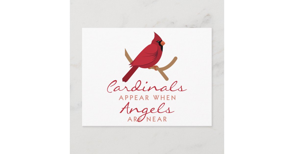 Cardinals Appear Postcard | Zazzle