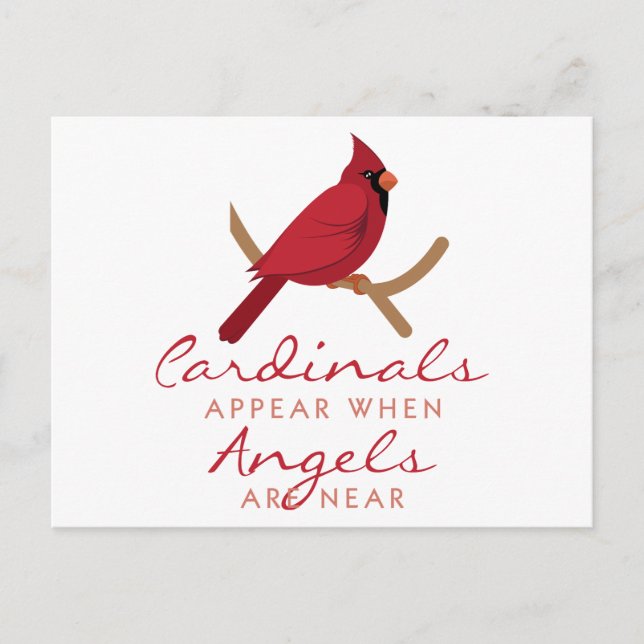 Cardinals Appear Postcard (Front)