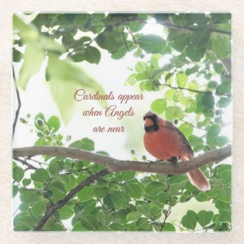 Cardinals Appear When Angels Are Near Glass Coaster by PicturesByDesign at Zazzle