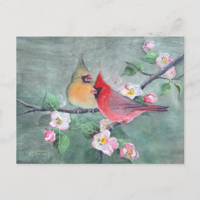 CARDINALS & APPLE BLOSSOMS by SHARON SHARPE Postcard (Front)