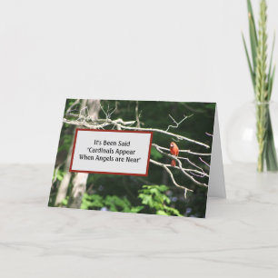 Cardinals Are Near Angels Appear - God's View Card