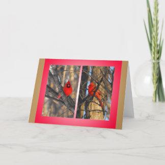 Cardinals in a "Crisp" Winter Morning Holiday Card