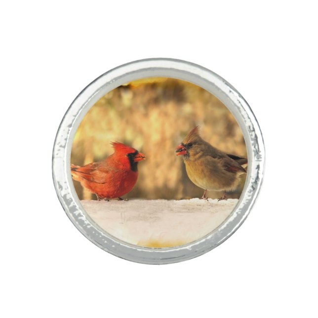 Cardinals in Autumn Ring (Front)