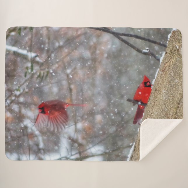 Cardinals in the Snow Sherpa Blanket (Front (Horizontal))