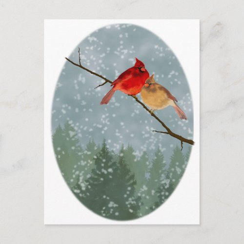 cardinals in winter postcard