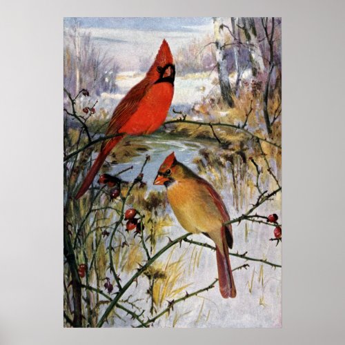 Cardinals in Winter Poster