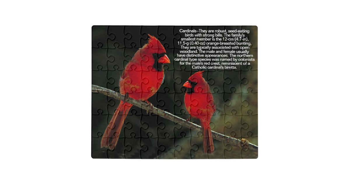 CARDINALS JIGSAW PUZZLE Zazzle