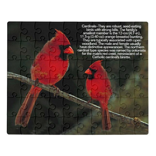 CARDINALS JIGSAW PUZZLE (Puzzle Horizontal)