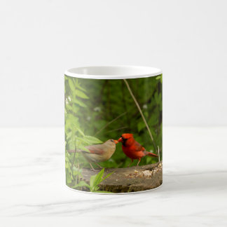 Cardinals Kissing Coffee Mug