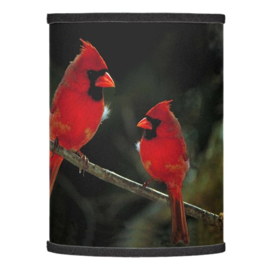 CARDINALS LAMP SHADE (Left)