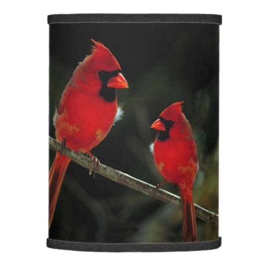 CARDINALS LAMP SHADE (Right)