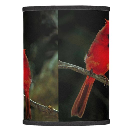 CARDINALS LAMP SHADE (Front)