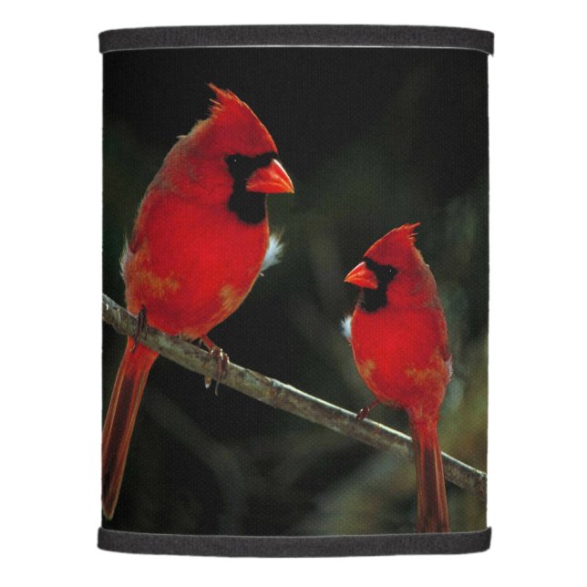 CARDINALS LAMP SHADE (Right)