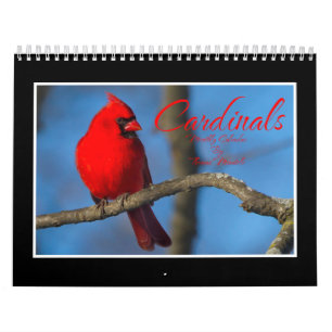 Cardinals Monthly Calendar By Thomas Minutolo