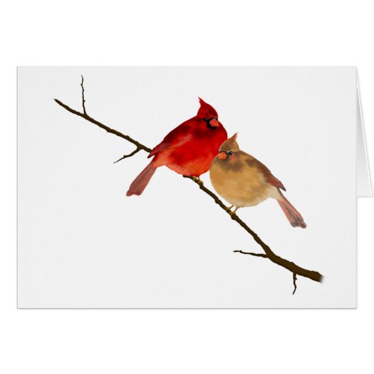 cardinals on a branch (Front Horizontal)