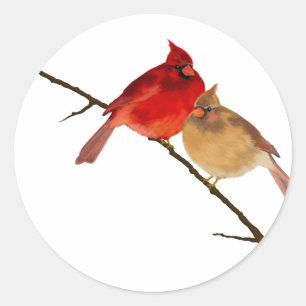 cardinals on a branch classic round sticker