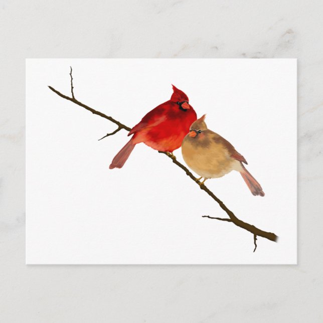 cardinals on a branch postcard (Front)