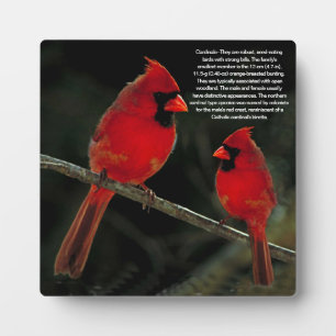 CARDINALS PLAQUE