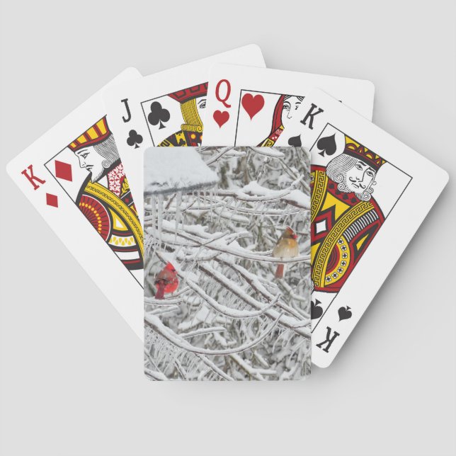 Cardinals Poker Cards (Back)
