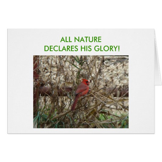 Cardinals, Psalm 89:1 Cards (Front Horizontal)