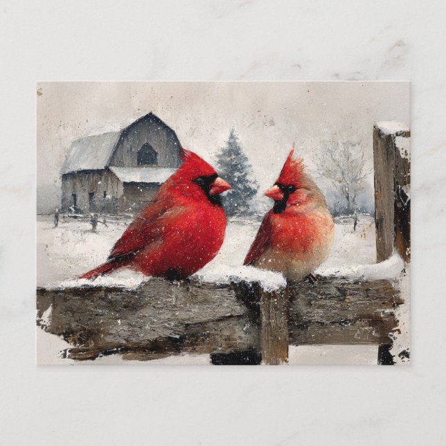Cardinals Vintage Farm Postcard (Front)