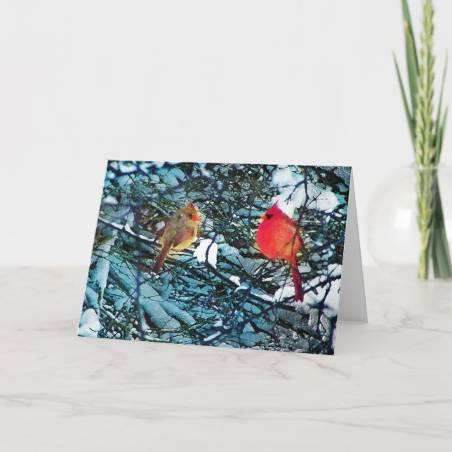 Cardinals winter love,cards holiday card (Front)