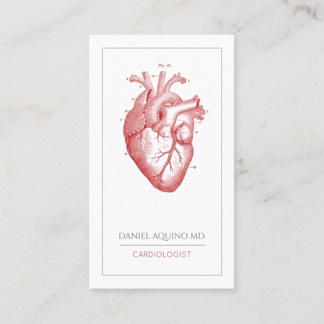 Cardiologist Doctor Anatomical Heart Illustration Business Card (Front)