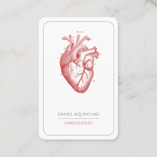 Cardiologist Doctor Anatomical Heart Illustration  Business Card