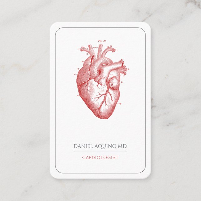 Cardiologist Doctor Anatomical Heart Illustration  Business Card (Front)