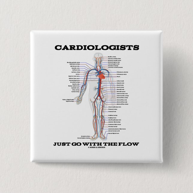 Cardiologists Just Go With The Flow (Circulatory) Pinback Button (Front)