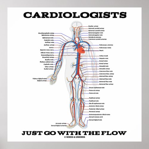 Cardiologists Just Go With The Flow Circulatory Poster