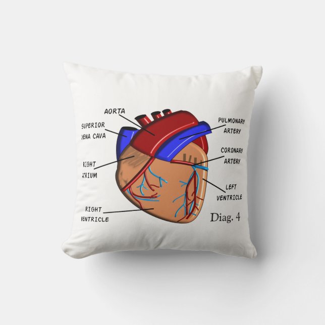 Cardiology Pillow "The Heart" Diag. 4 (Front)