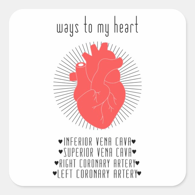 Cardiology Square Sticker (Front)