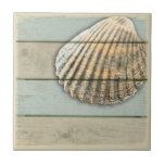 Cardita Shell Ceramic Tile<br><div class="desc">Cardita shell on distressed wood background.</div>