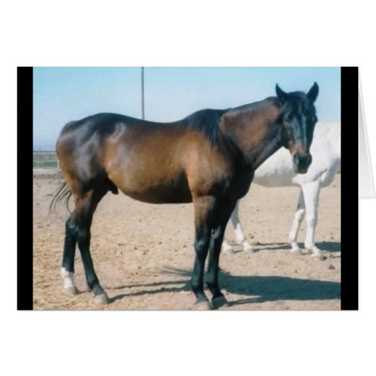 Cardmania (Front Horizontal)