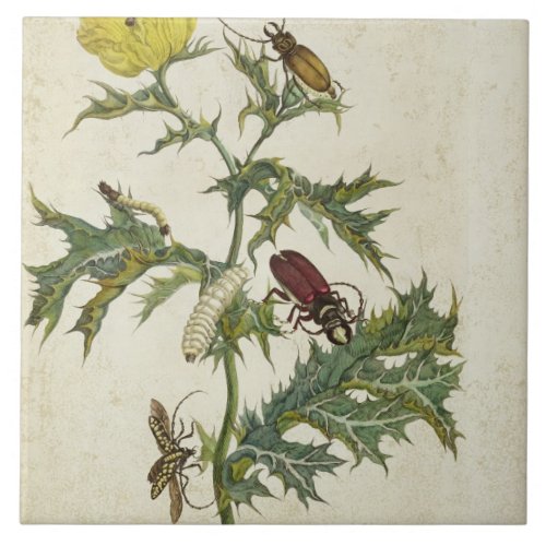 Cardos Spinosus Beetles and Caterpillars plate 6 Ceramic Tile