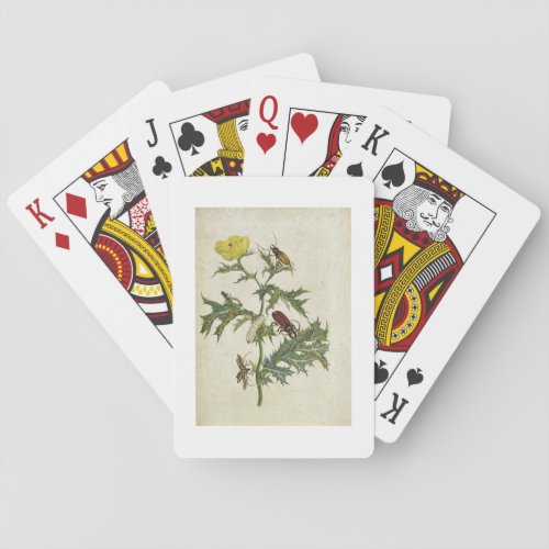 Cardos Spinosus Beetles and Caterpillars plate 6 Playing Cards