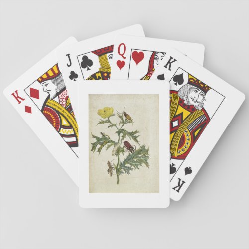 Cardos Spinosus Beetles and Caterpillars plate 6 Poker Cards